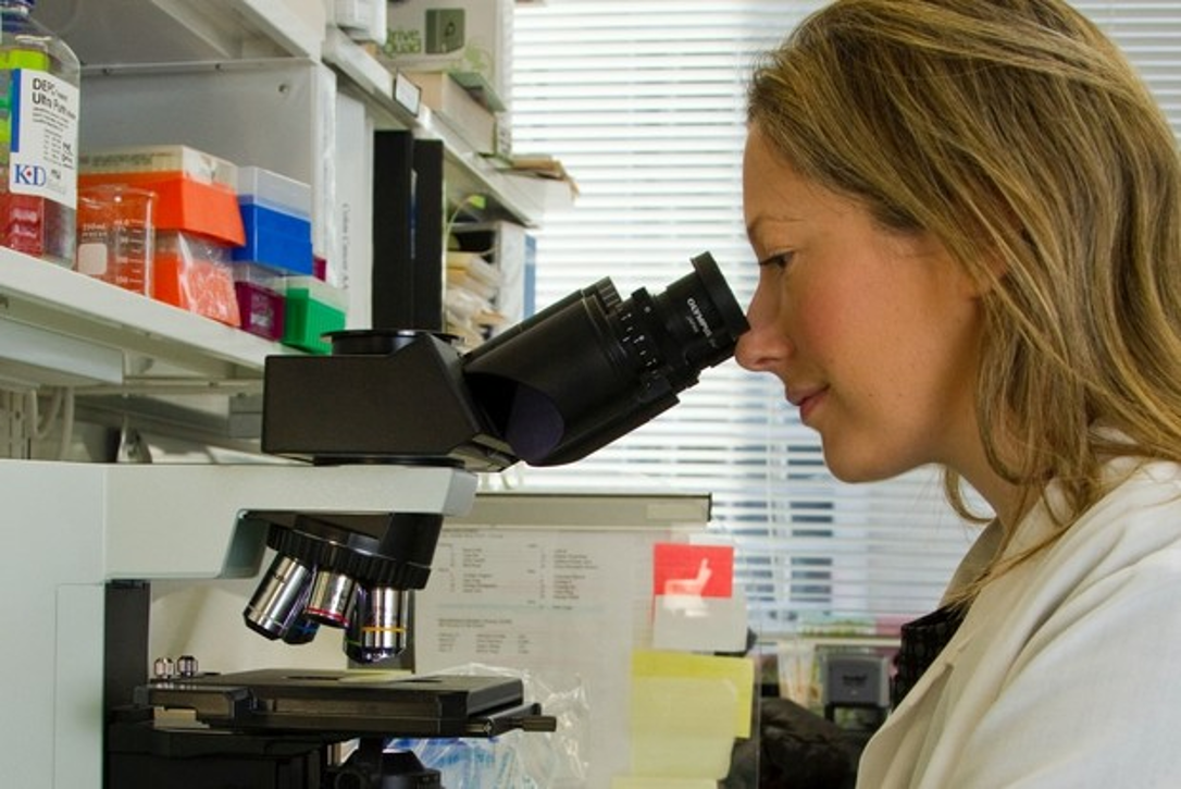 Recherches sur la méditation