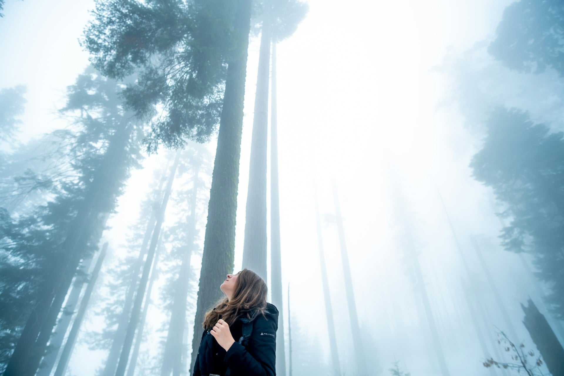The viper on the path and in meditation