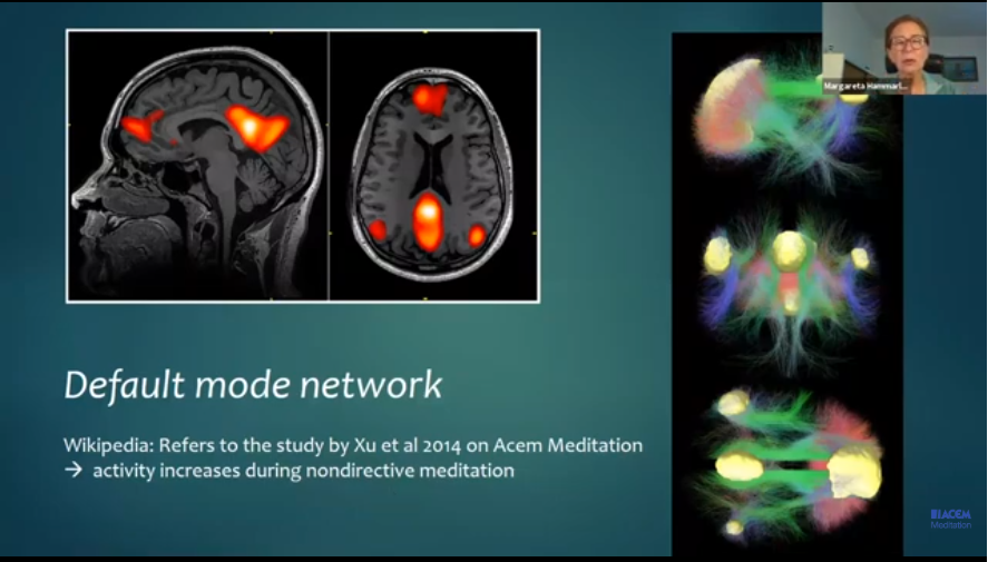 Slide from the webinar on Acem Meditation and spontaneous mind wandering